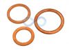 BSP Copper Washers